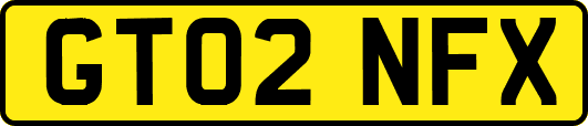 GT02NFX
