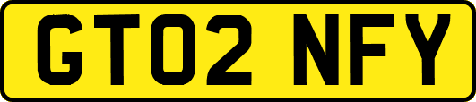 GT02NFY