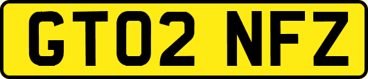 GT02NFZ