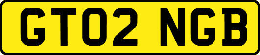 GT02NGB