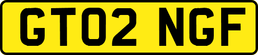 GT02NGF