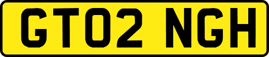 GT02NGH