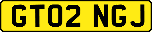 GT02NGJ