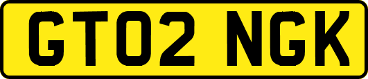 GT02NGK