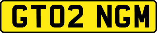 GT02NGM