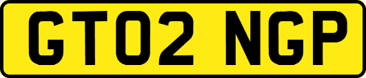 GT02NGP