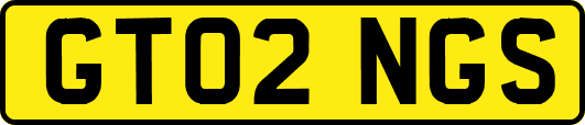 GT02NGS