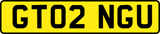 GT02NGU