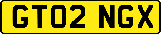 GT02NGX