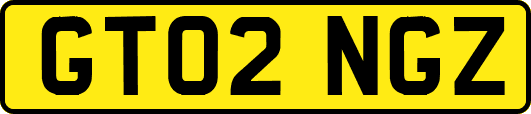 GT02NGZ