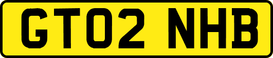 GT02NHB