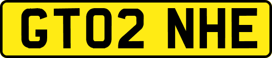 GT02NHE