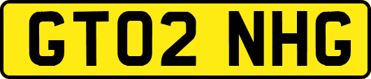 GT02NHG