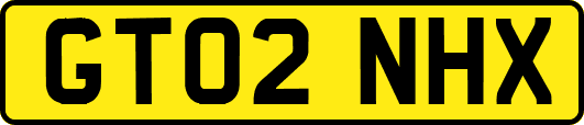 GT02NHX