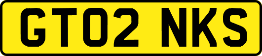 GT02NKS