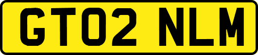 GT02NLM