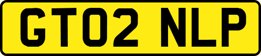 GT02NLP