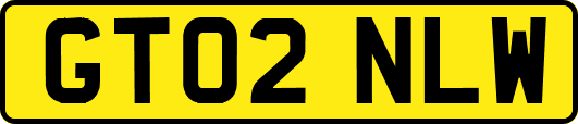 GT02NLW