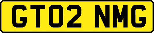 GT02NMG