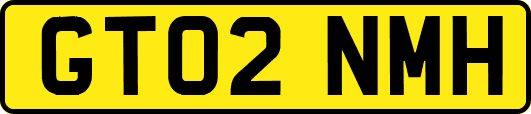 GT02NMH