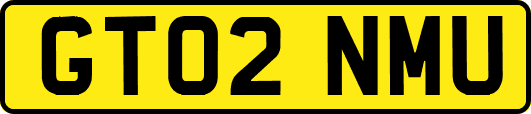 GT02NMU