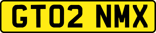 GT02NMX