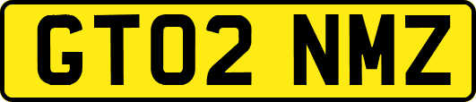 GT02NMZ