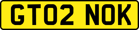 GT02NOK