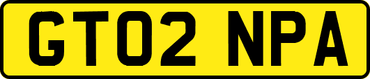 GT02NPA