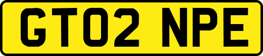 GT02NPE