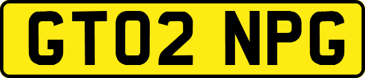 GT02NPG