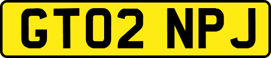 GT02NPJ
