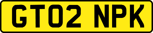 GT02NPK