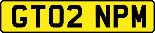 GT02NPM