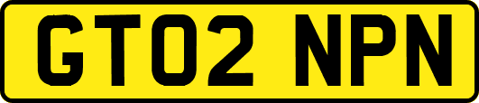GT02NPN