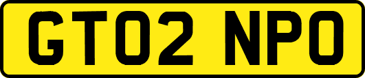 GT02NPO