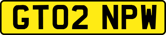 GT02NPW