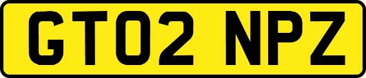 GT02NPZ