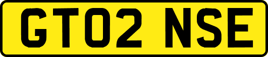 GT02NSE