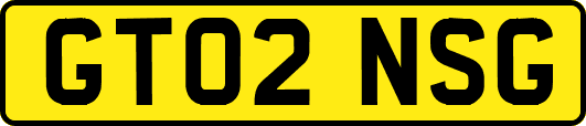 GT02NSG