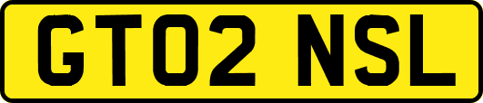 GT02NSL