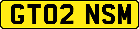 GT02NSM