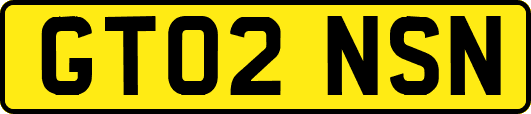 GT02NSN