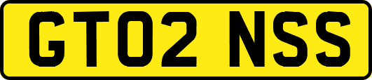 GT02NSS