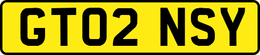 GT02NSY