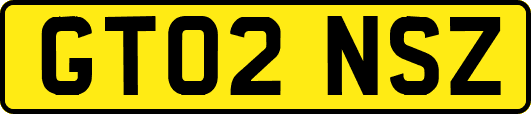 GT02NSZ