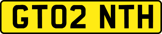 GT02NTH