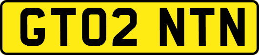 GT02NTN
