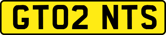 GT02NTS