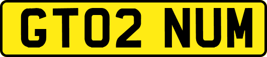 GT02NUM